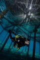  diver under jetty sun background  